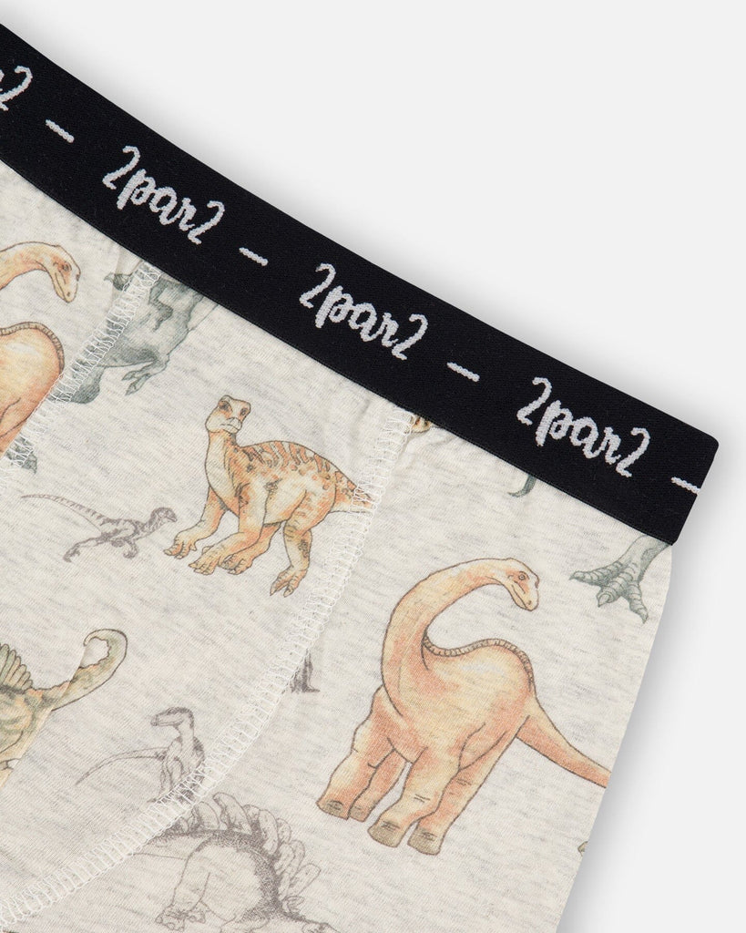 Printed organic cotton boxer shorts with dinosaur print and branded elastic waistband on mottled tan background