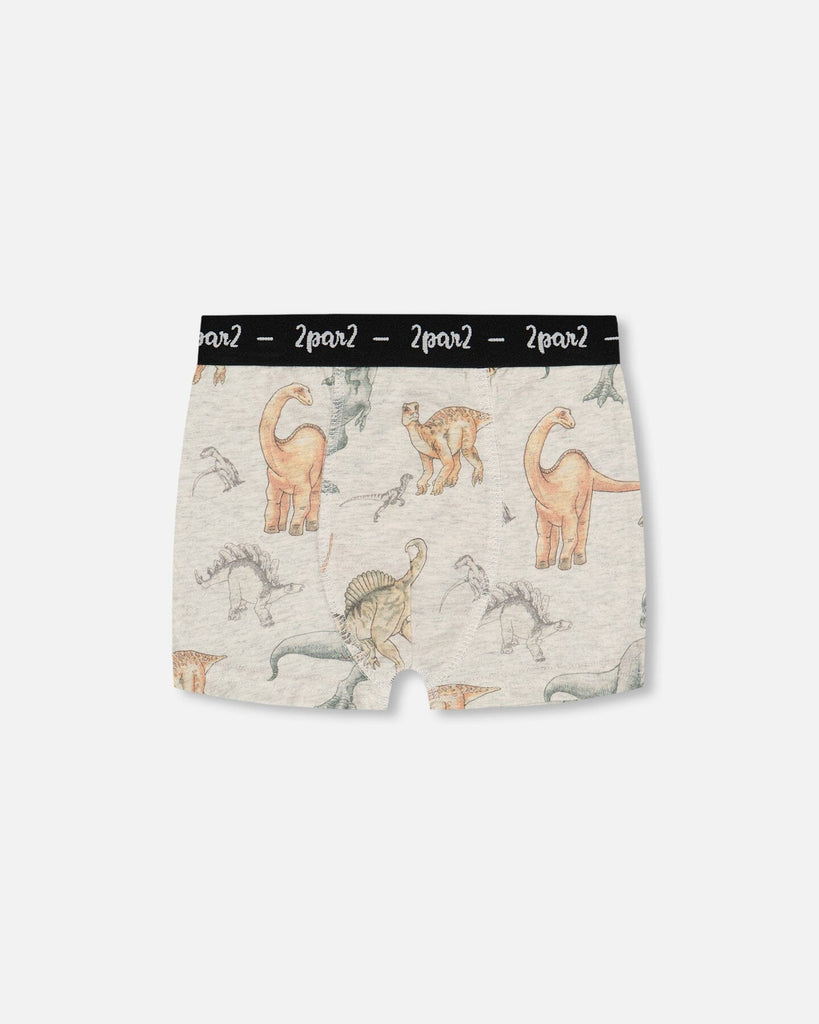 Printed organic cotton boxer shorts with allover dinosaur print on mottled tan background and black elastic waistband with logo