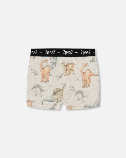 Printed organic cotton boxer shorts with allover dinosaur print on mottled tan background and black elastic waistband with logo