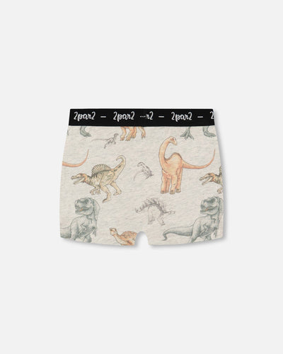 Printed organic cotton boxer shorts with dinosaur print on mottled tan background and black logo elastic waistband